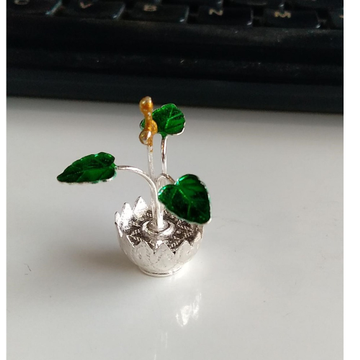 silver small tulsi plant  for gifting  / home temp... by 